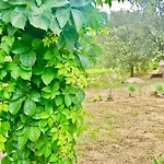Casa Carrubbo -jennas- بيت للعطل كارديدو