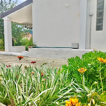 Casa Carrubbo -jennas- *