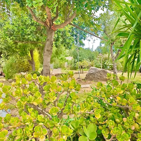 Casa Carrubbo -jennas- Casa vacanze